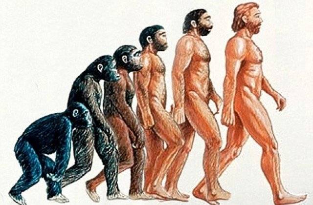 
Американские ученые рассказали, что сыграло ключевую роль в эволюции человека                