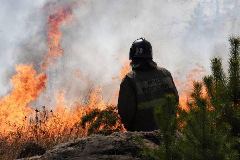 
Страховая компенсация для пострадавших от лесного пожара: реальность или вымысел?                