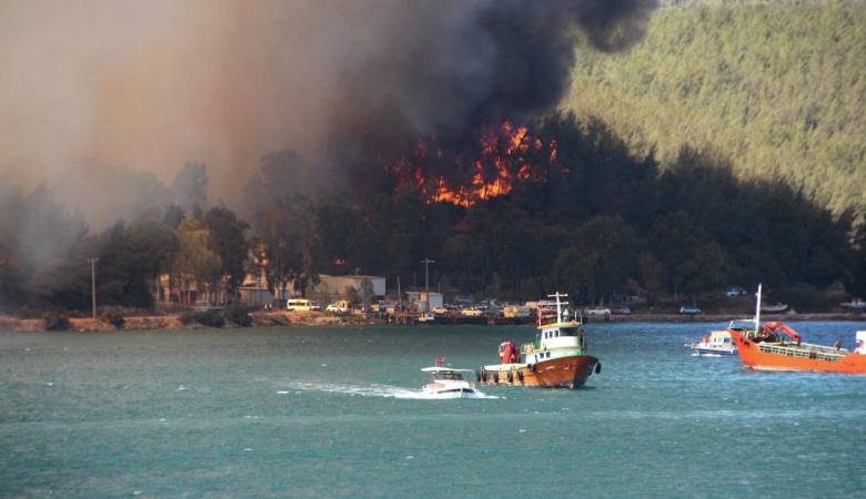 
Турция борется с неудержимыми лесными пожарами: эвакуированы более тысячи человек                