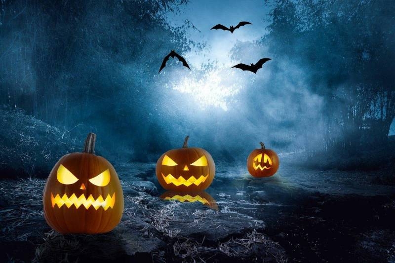 
О какой опасности предупреждают экстрасенсы на Хэллоуин 31 октября 2023 года                
