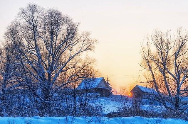 
Частые скачки температуры ожидаются этой зимой в Центральной России                