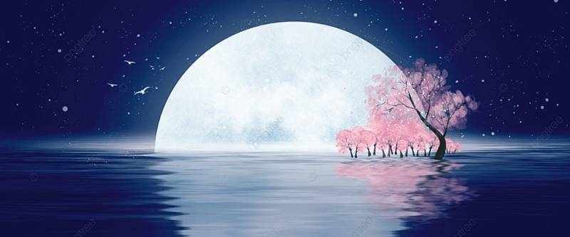 
Бобровая Луна исполняет желания: что нужно сделать 27 ноября 2023 года на полнолуние в Тельце                