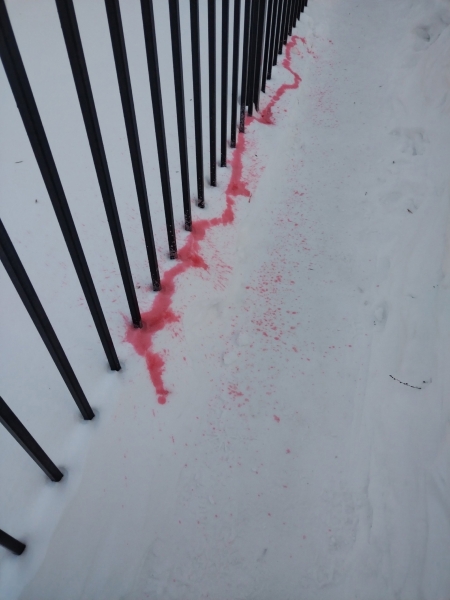 Розовый снег напугал собаководов Челябинска