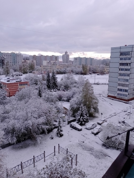 В ряде городов Челябинской области 4 мая выпал снег