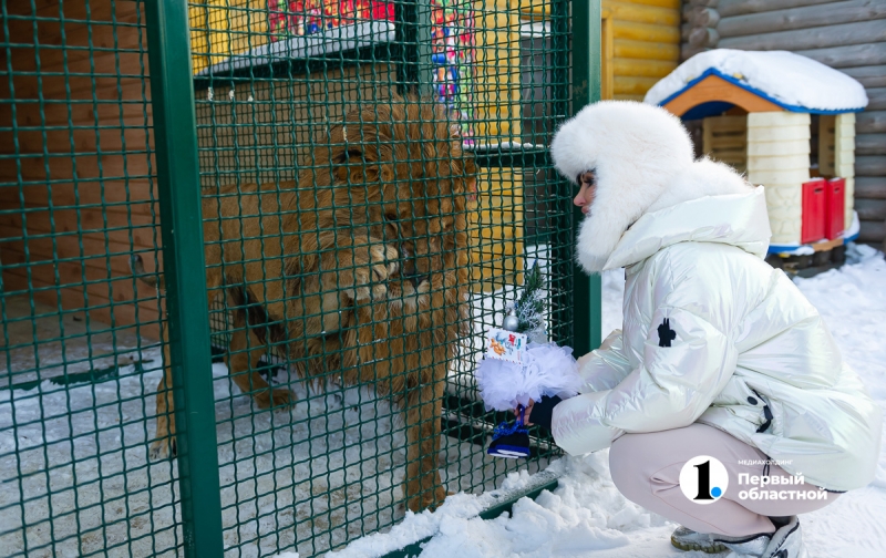 В Челябинске стартовала звериная «елка желаний»