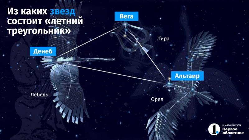 Какие звезды и созвездия можно увидеть на ночном небе этим летом