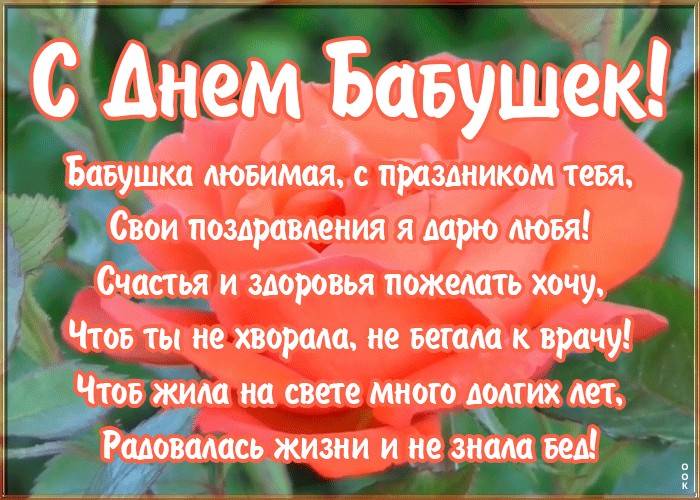 
День бабушек 5 марта: как отмечают и как их лучше поздравить с праздником                