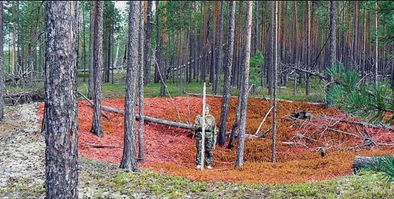 
В Сибири найдена древнейшая в мире крепость Амния                